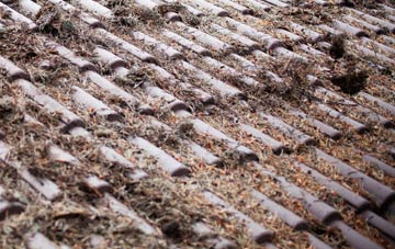 Clyst St Lawrence roof cleaning companies